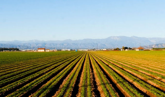 agriculture1 - تراجع مؤشرات الاستثمار الفلاحي الخاص خلال الثلاثي الأول من 2023