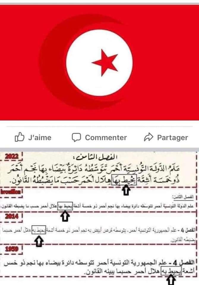 FB IMG 1660920033945 - لون العلم التونسي في الدستور الجديد يثير سخرية رواد مواقع التواصل الاجتماعي (صورة)